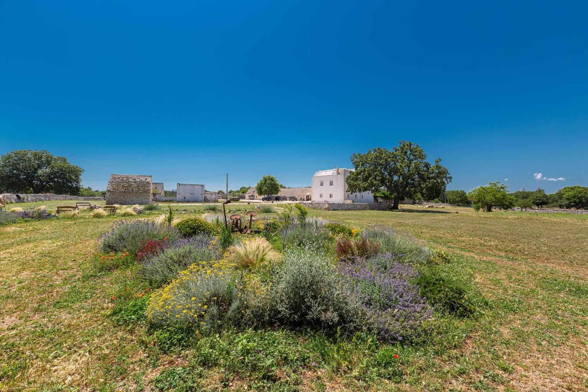 Masseria Nicola Casavola Мартіна-Франка Екстер'єр фото